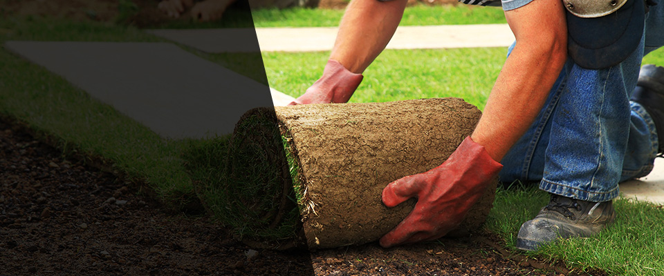 Racine Landscapers